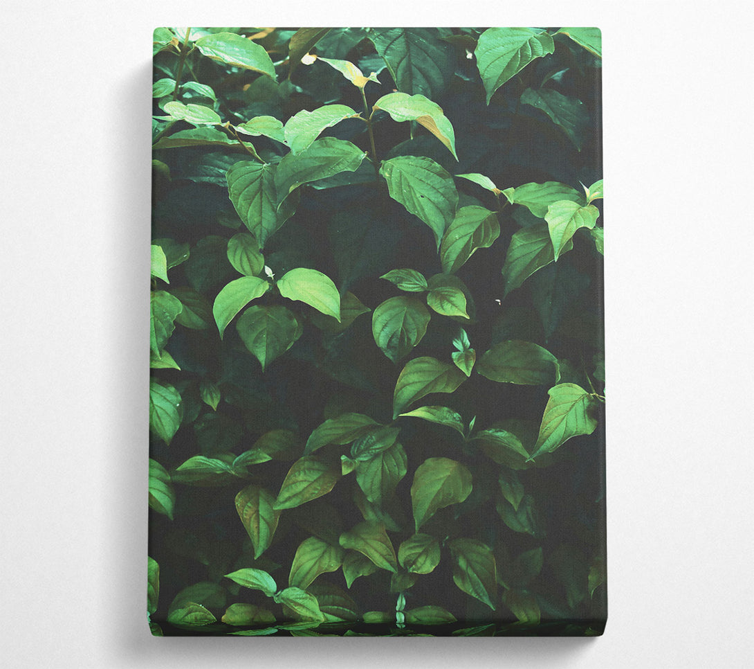  A Canvas Print of Loading... Canvas Print