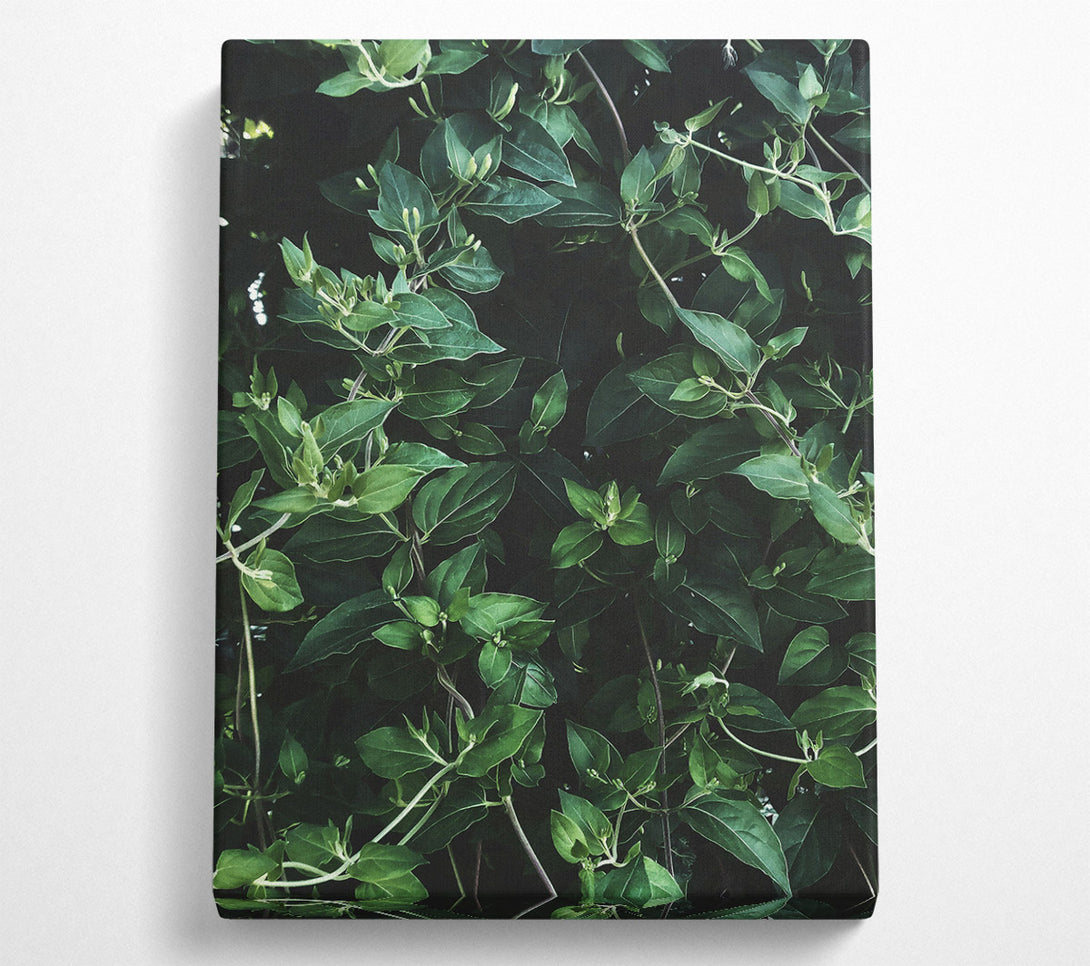  A Canvas Print of Emerald Green Vines Canvas Wall Art