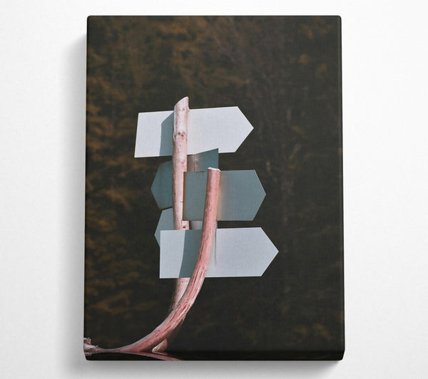  A Canvas Print of Pale Grey Directions Canvas Art