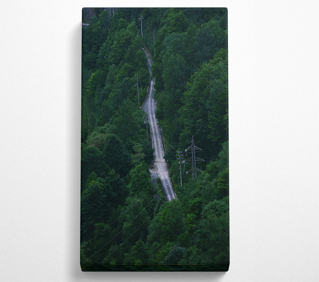  A Canvas Print of Emerald Road Through Trees Canvas Art