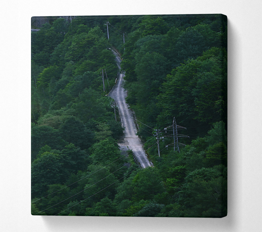 A Canvas Print of Emerald Road Through Trees Canvas Art