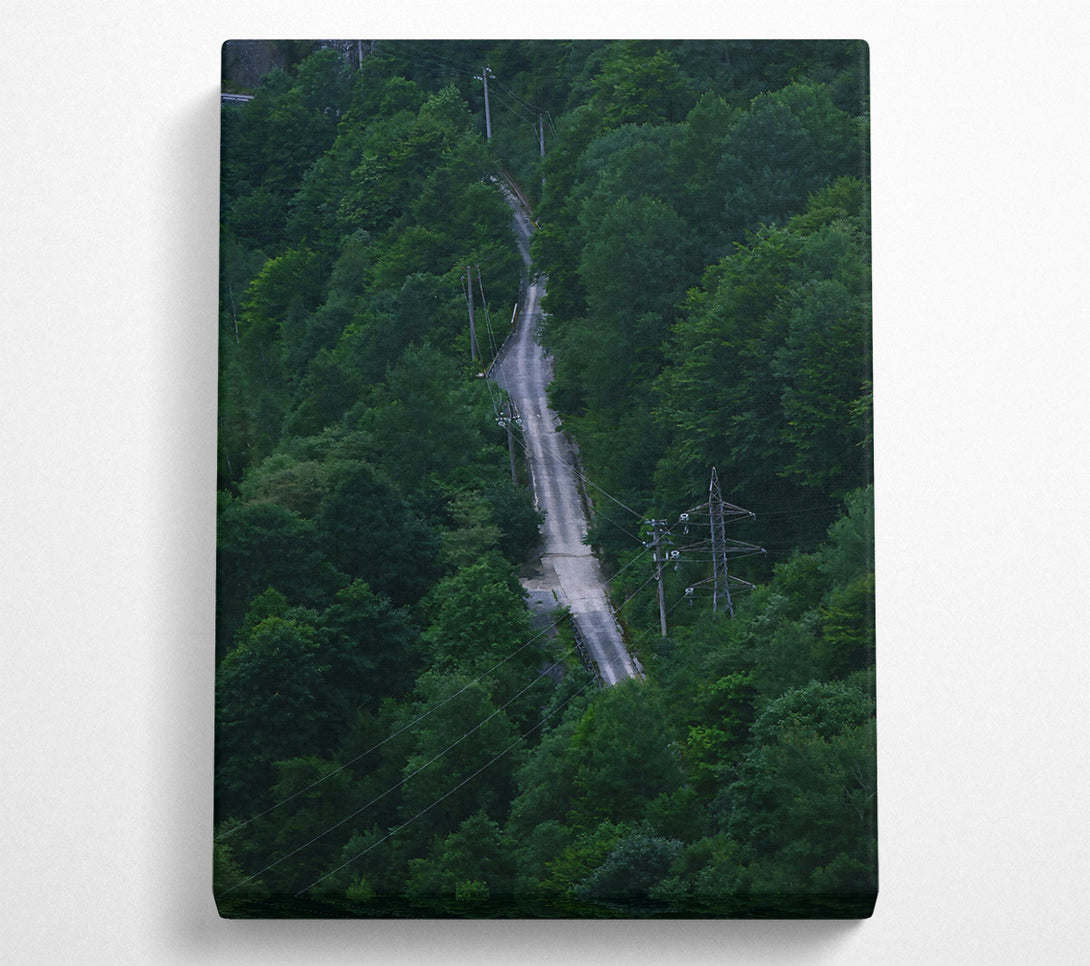 A Canvas Print of Emerald Road Through Trees Canvas Art