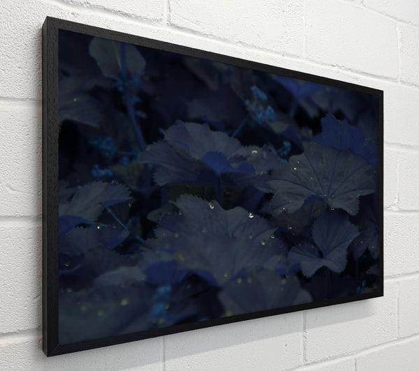 Indigo Leaf Dreams