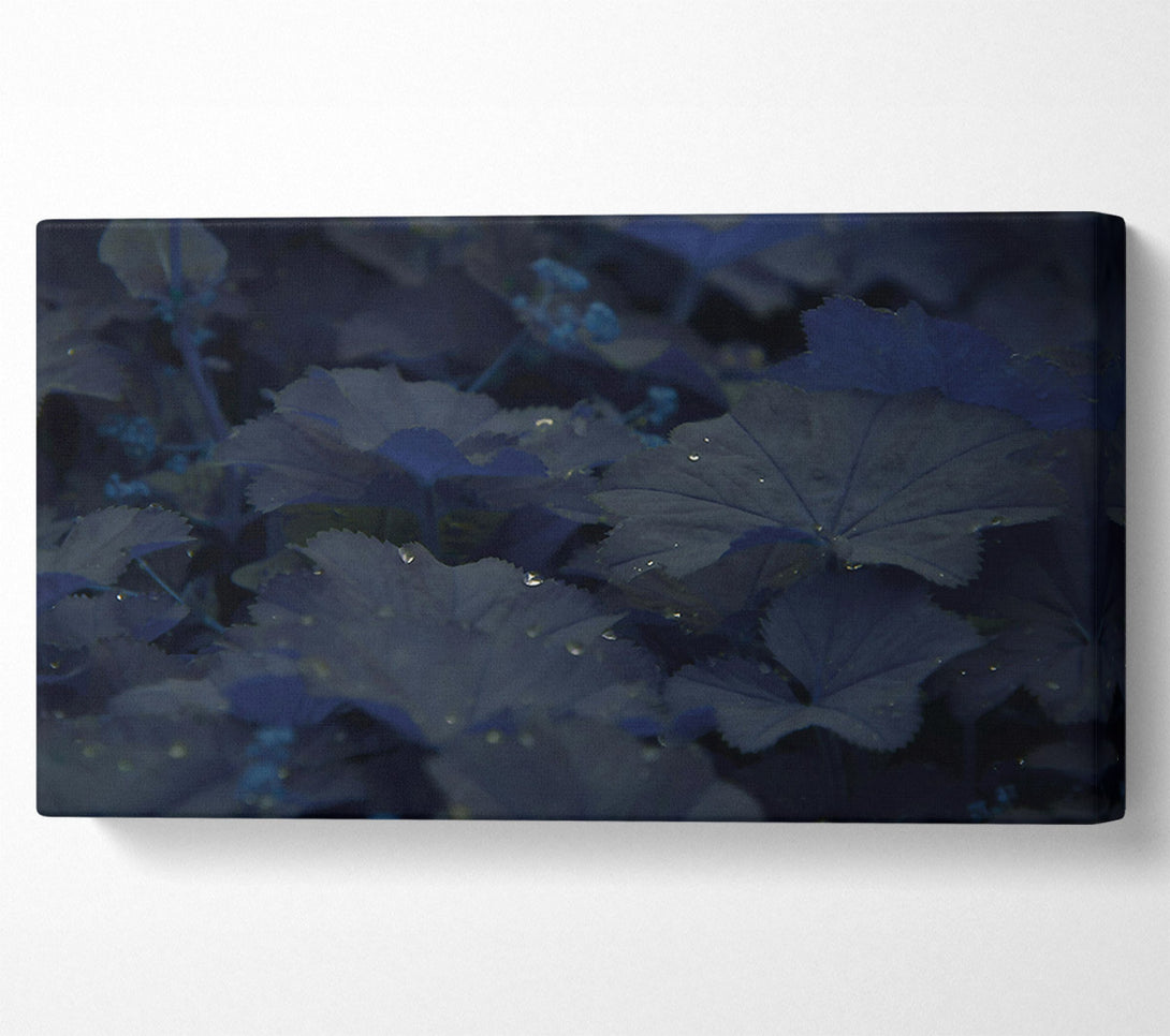  A Canvas Print of Indigo Leaf Dreams Canvas Art