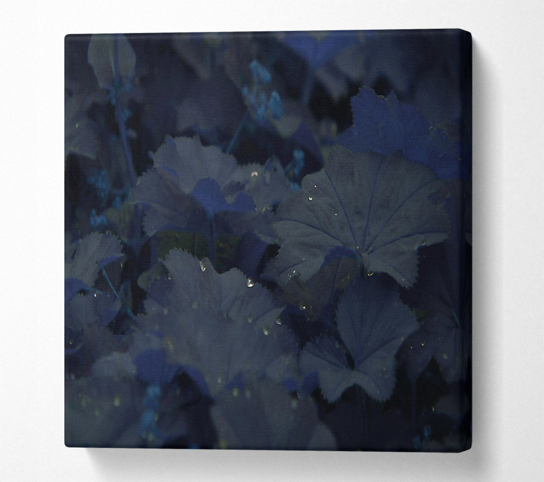  A Canvas Print of Indigo Leaf Dreams Canvas Art