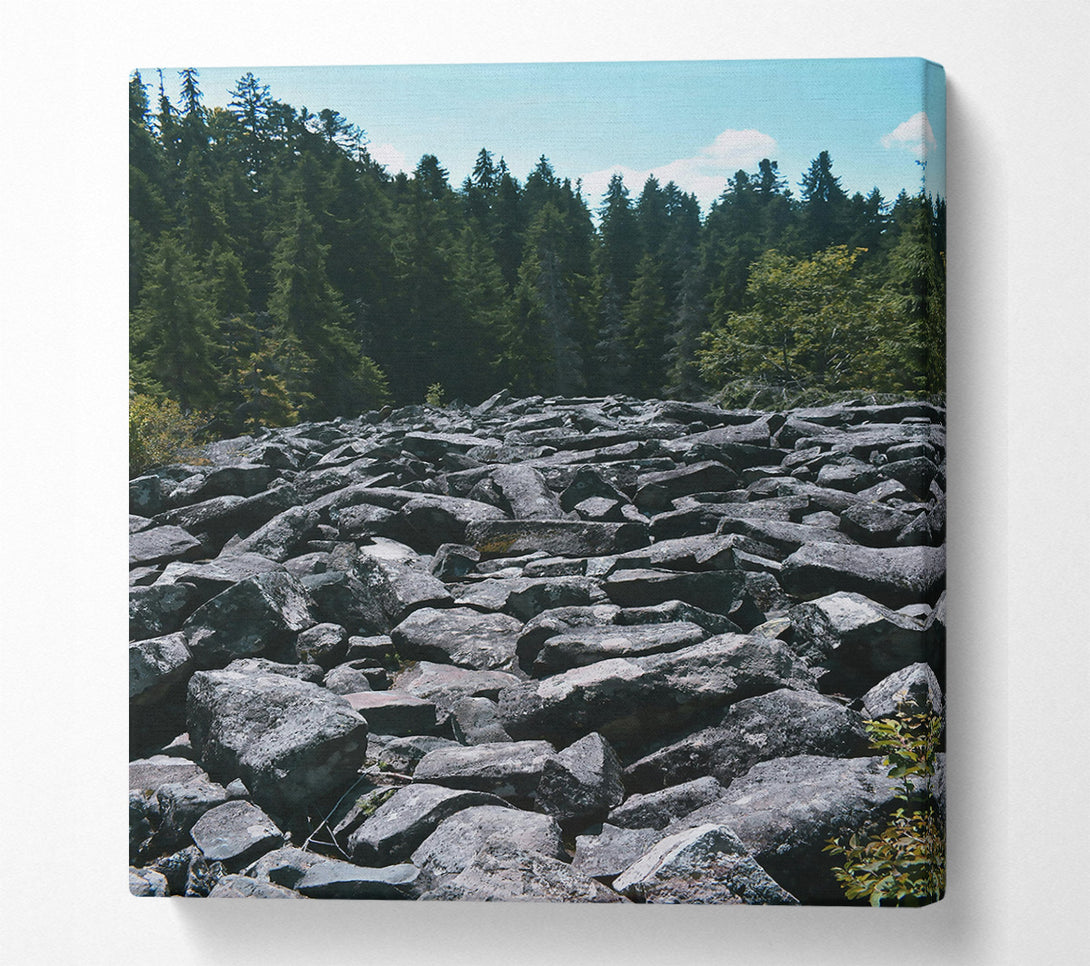  A Canvas Print of Grey Boulder Trail Canvas Art