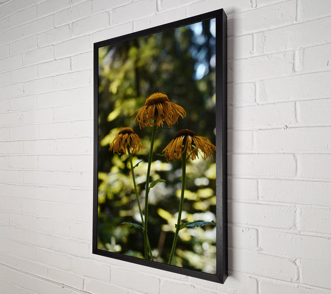  A Canvas Print of Golden Forest Blooms Canvas Print