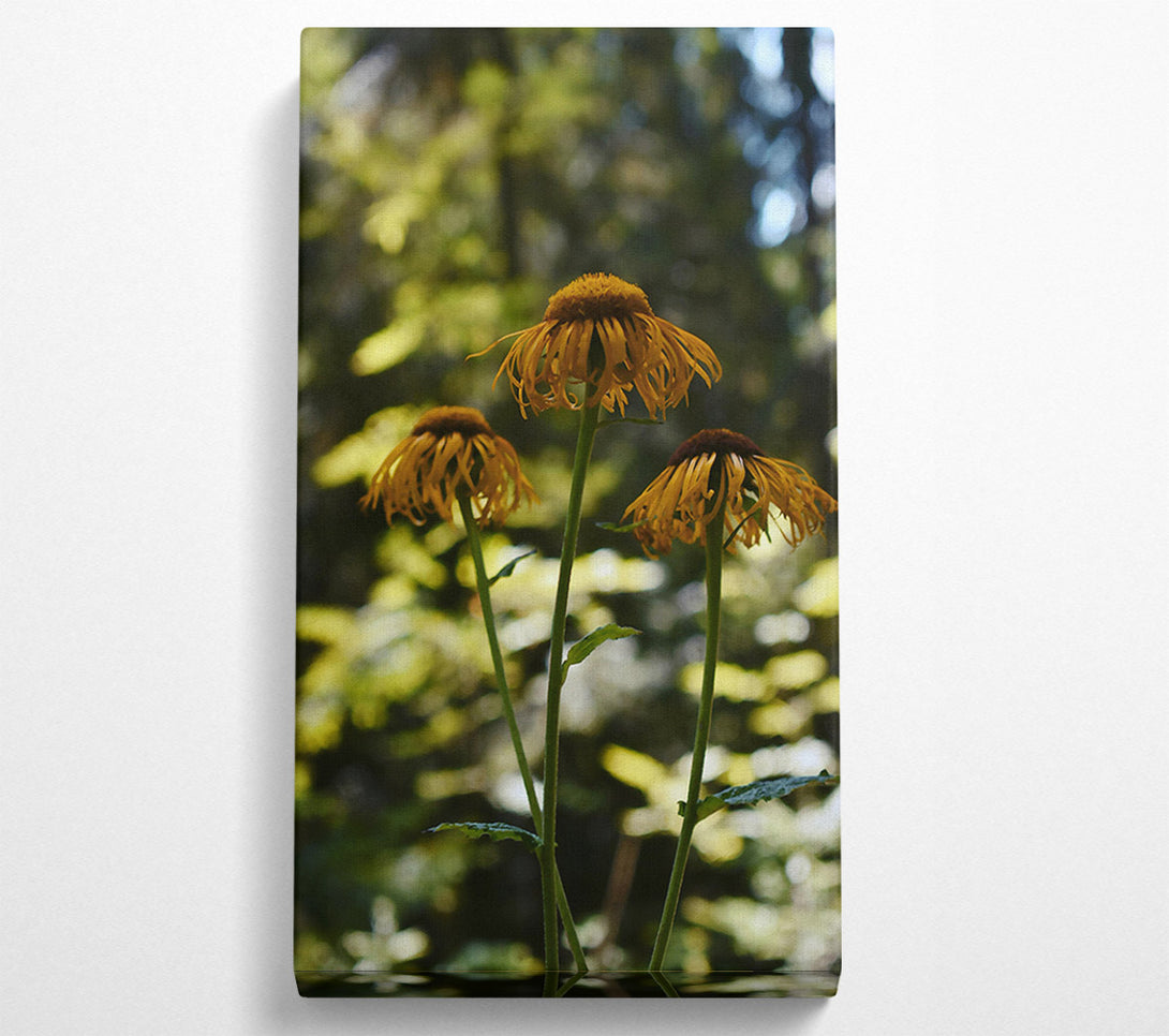  A Canvas Print of Golden Forest Blooms Canvas Print