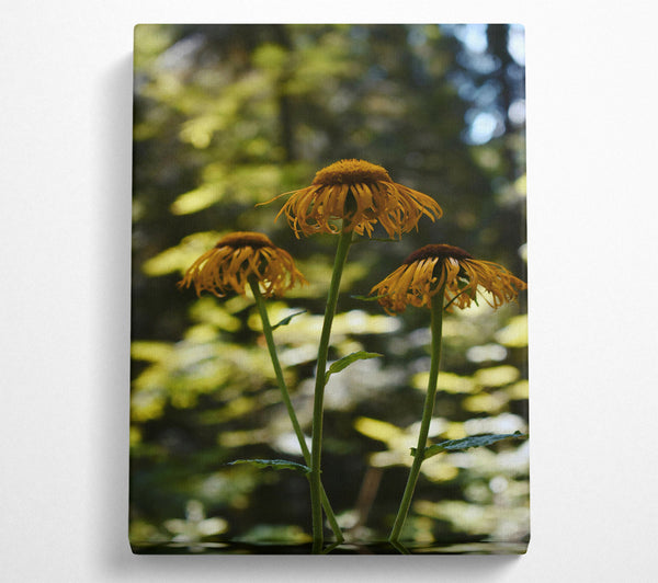 Golden Forest Blooms Canvas Print