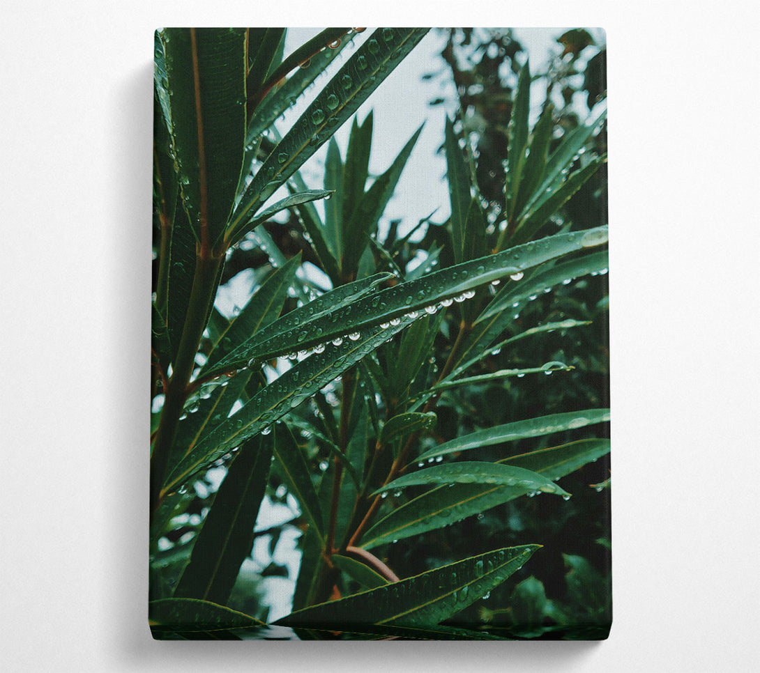 A Canvas Print of Emerald Dew Drops Canvas Wall Art