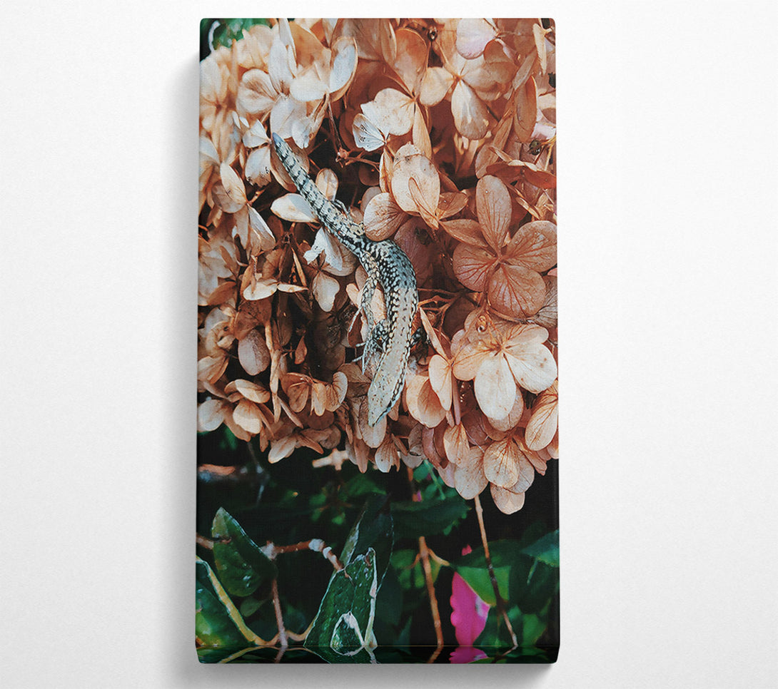  A Canvas Print of Tan Lizard Bloom Canvas Art