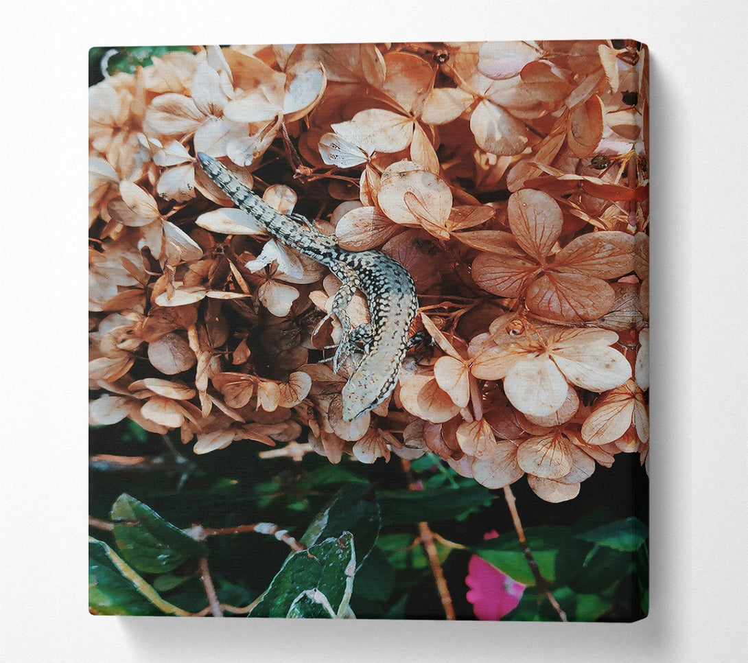  A Canvas Print of Tan Lizard Bloom Canvas Art