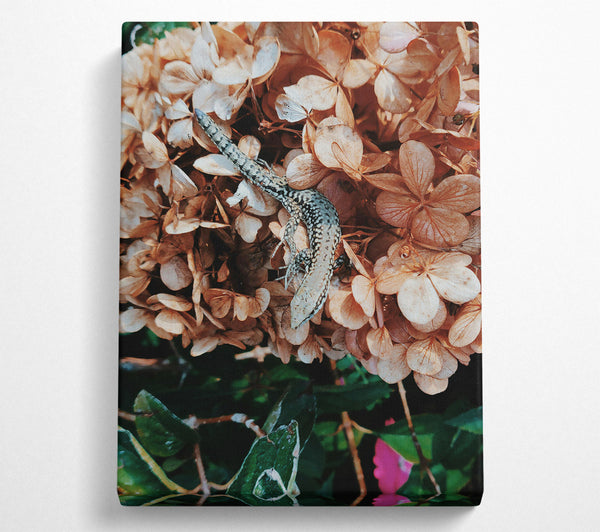  A Canvas Print of Tan Lizard Bloom Canvas Art