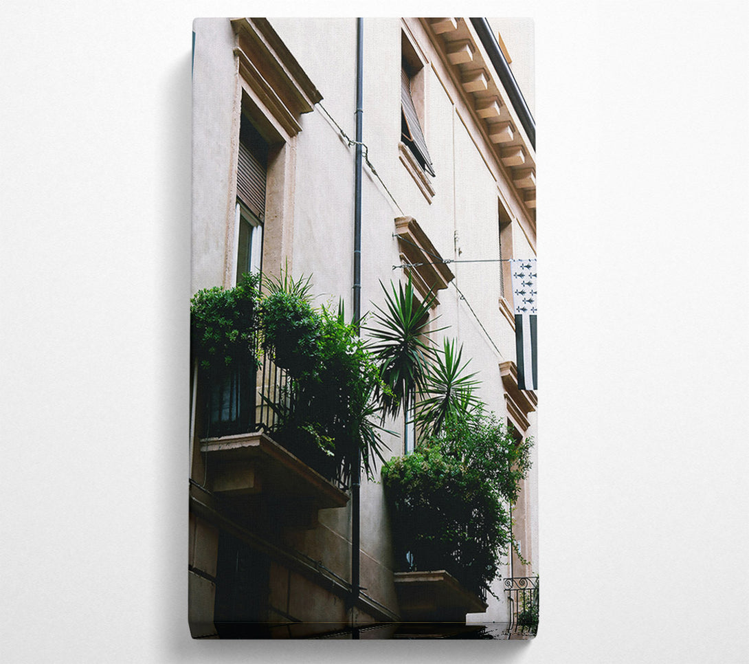  A Canvas Print of White Balcony Greenery Canvas Print
