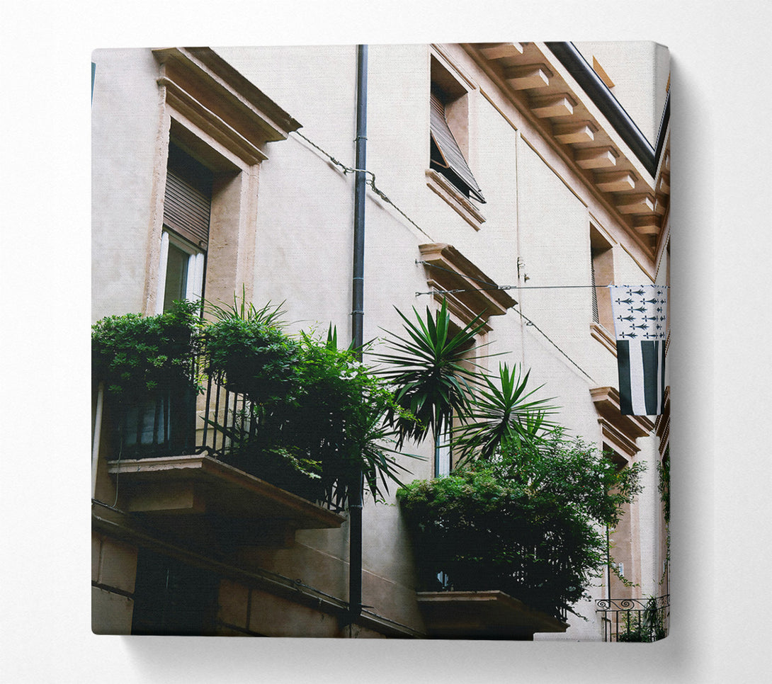  A Canvas Print of White Balcony Greenery Canvas Print