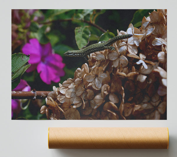 Brown Flower Lizard Poster