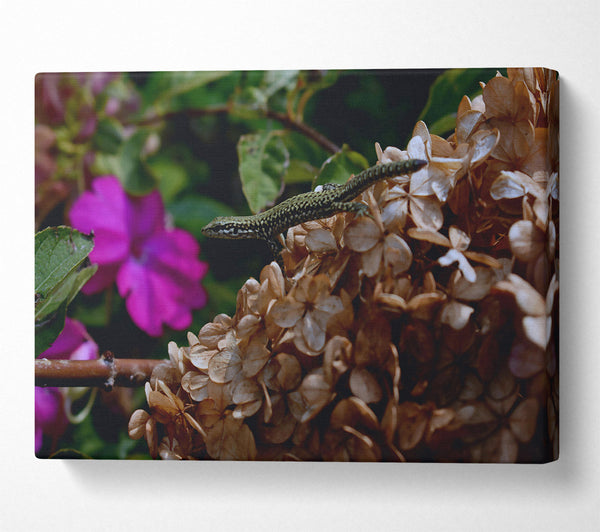  A Canvas Print of Brown Flower Lizard Canvas Wall Art