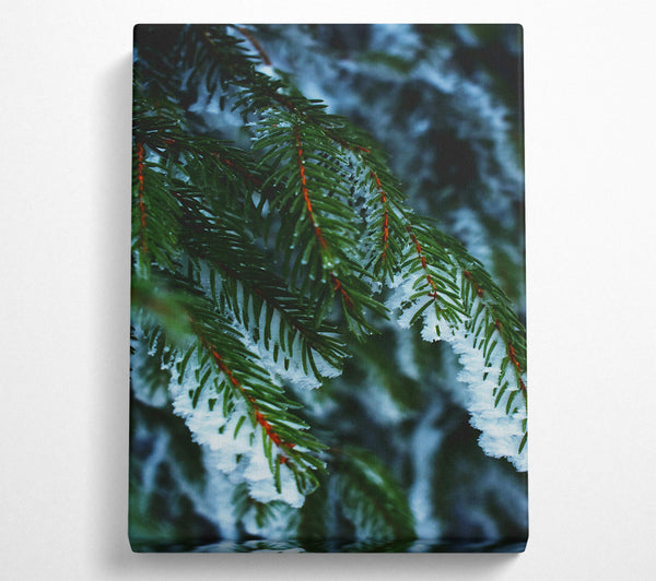  A Canvas Print of Emerald Frost Sprigs Canvas Print