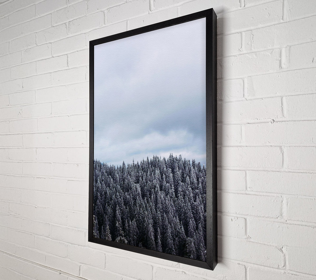  A Canvas Print of Silver Winter Forest Canvas Wall Art