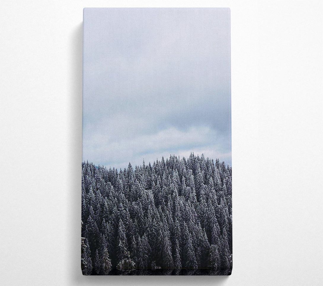  A Canvas Print of Silver Winter Forest Canvas Wall Art