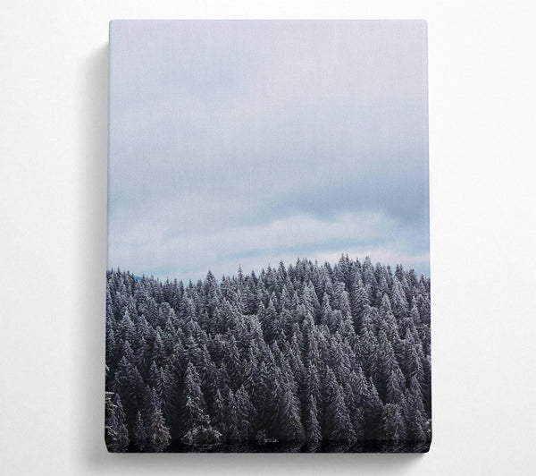 Silver Winter Forest Canvas Wall Art