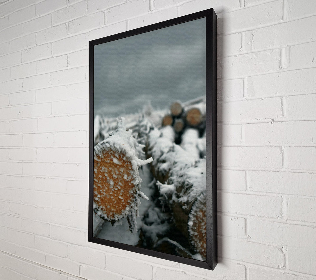  A Canvas Print of White Frost On Wood Canvas Art