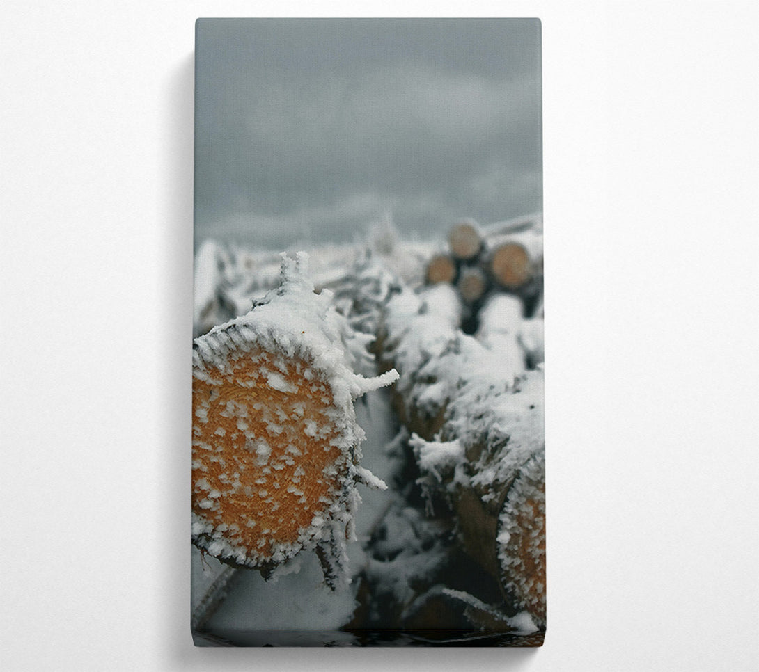  A Canvas Print of White Frost On Wood Canvas Art