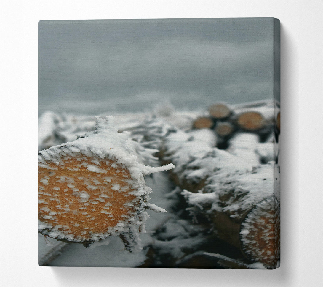  A Canvas Print of White Frost On Wood Canvas Art