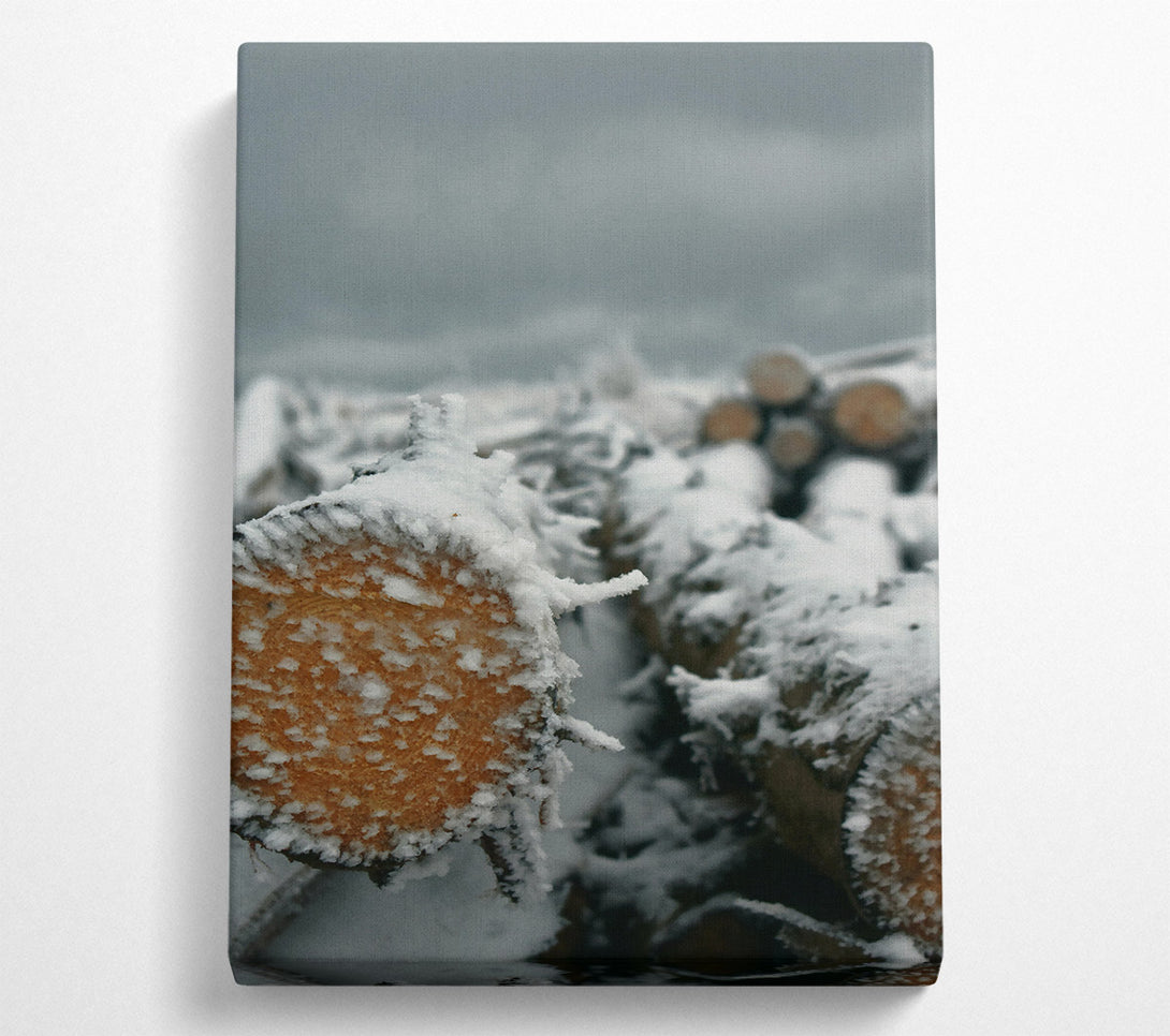  A Canvas Print of White Frost On Wood Canvas Art