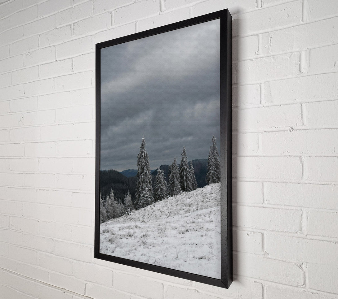  A Canvas Print of White Frosted Pines Canvas Wall Art