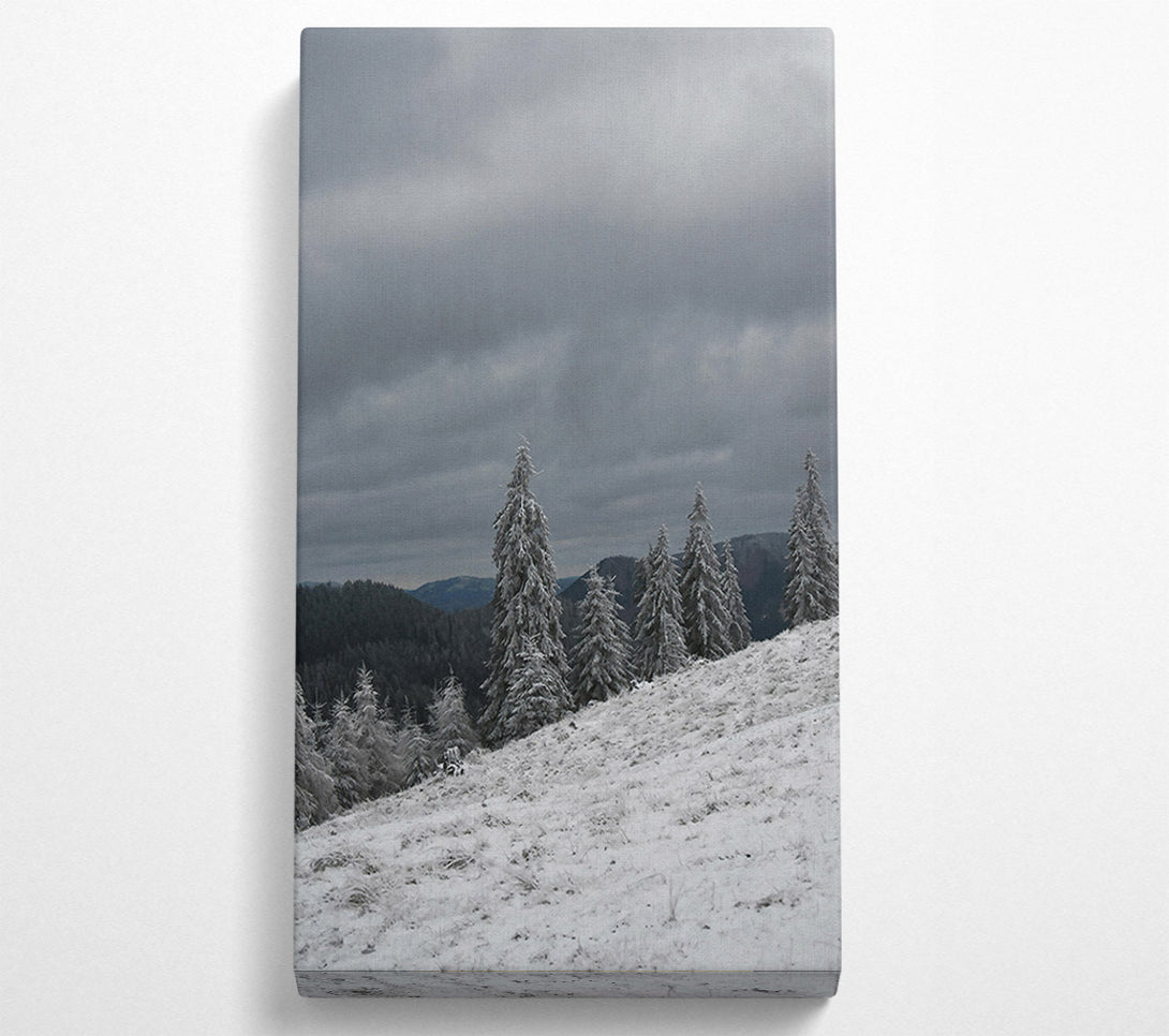  A Canvas Print of White Frosted Pines Canvas Wall Art