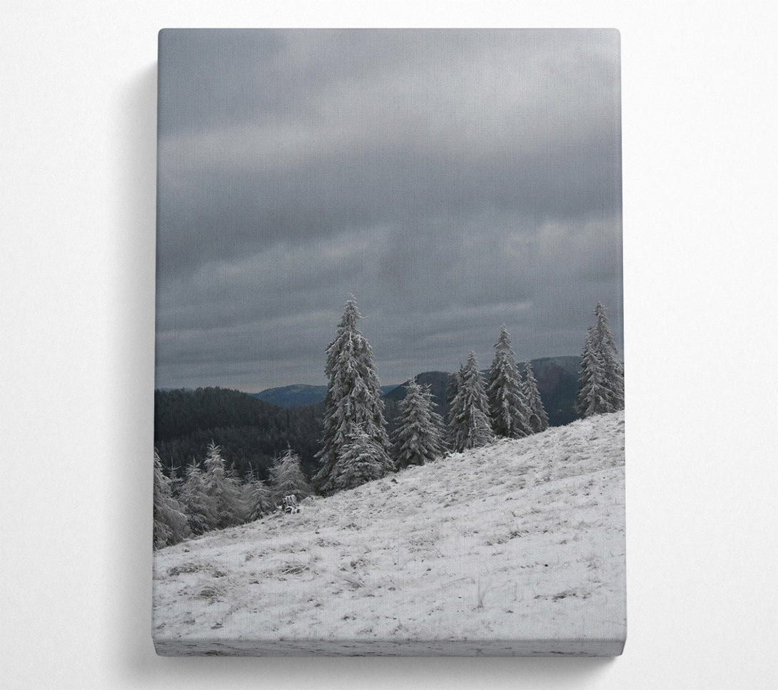  A Canvas Print of White Frosted Pines Canvas Wall Art
