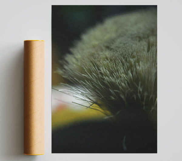 Gray Bristles Close-Up Poster