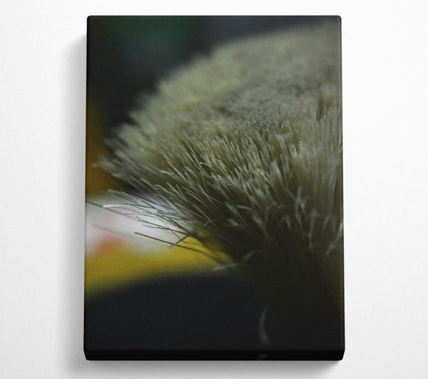  A Canvas Print of Gray Bristles Close-Up Canvas Wall Art