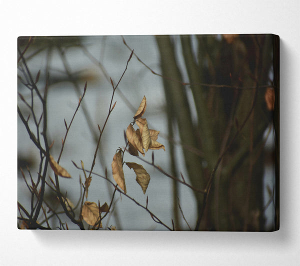 Golden Branch Remnants Canvas Print