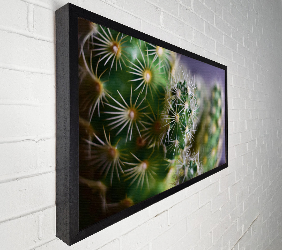  A Canvas Print of Green Prickly Clusters Canvas Art