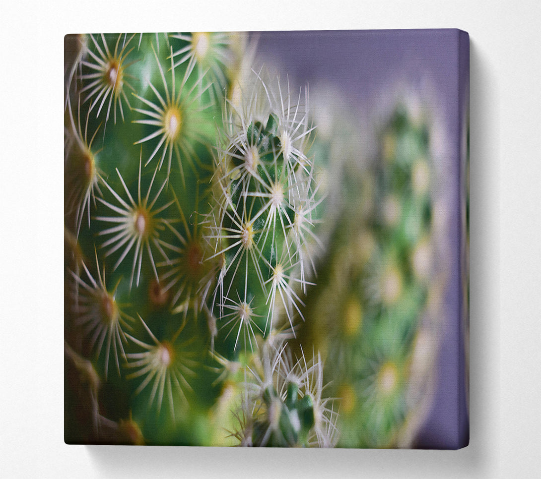  A Canvas Print of Green Prickly Clusters Canvas Art
