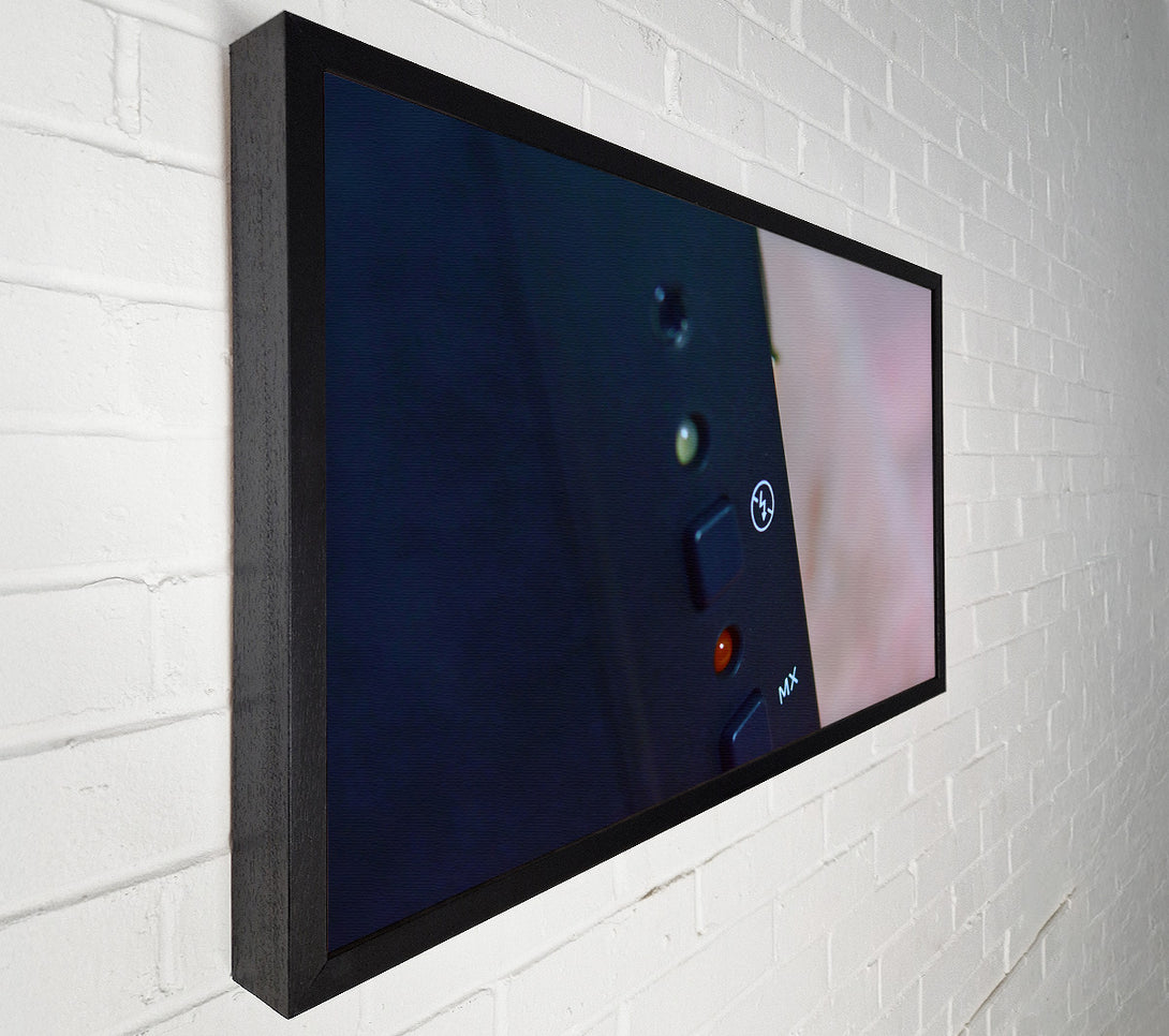  A Canvas Print of Black Flash Ready Canvas Wall Art