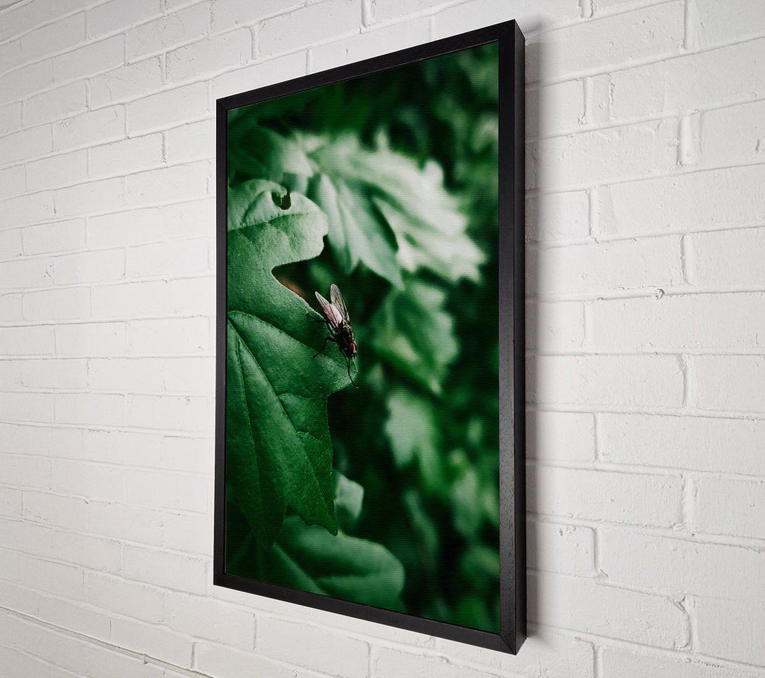  A Canvas Print of Emerald Fly Resting Canvas Art