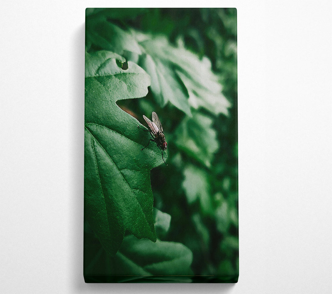  A Canvas Print of Emerald Fly Resting Canvas Art