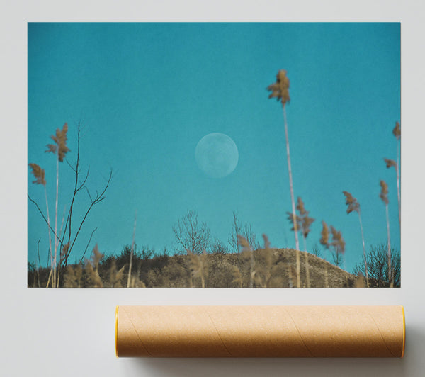 Blue Moon And Reeds Giclee Print