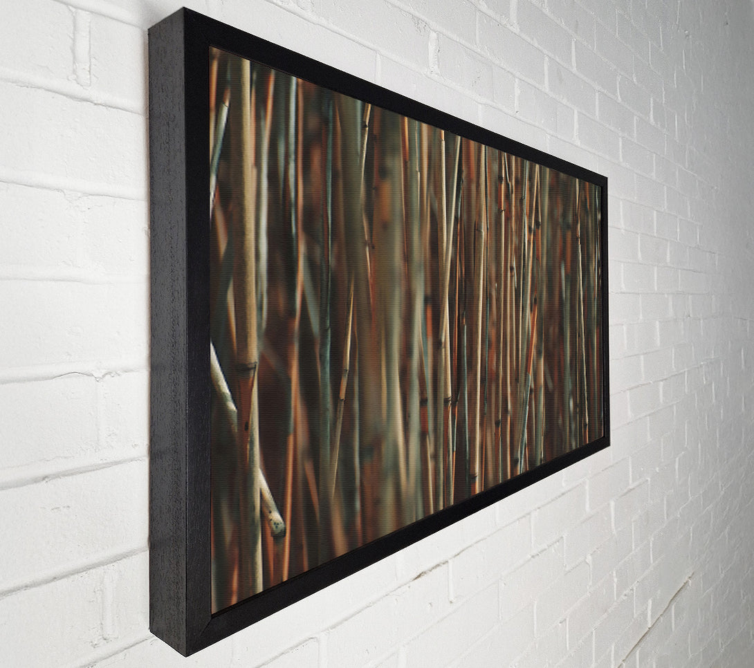  A Canvas Print of Golden Bamboo Forest Canvas Print