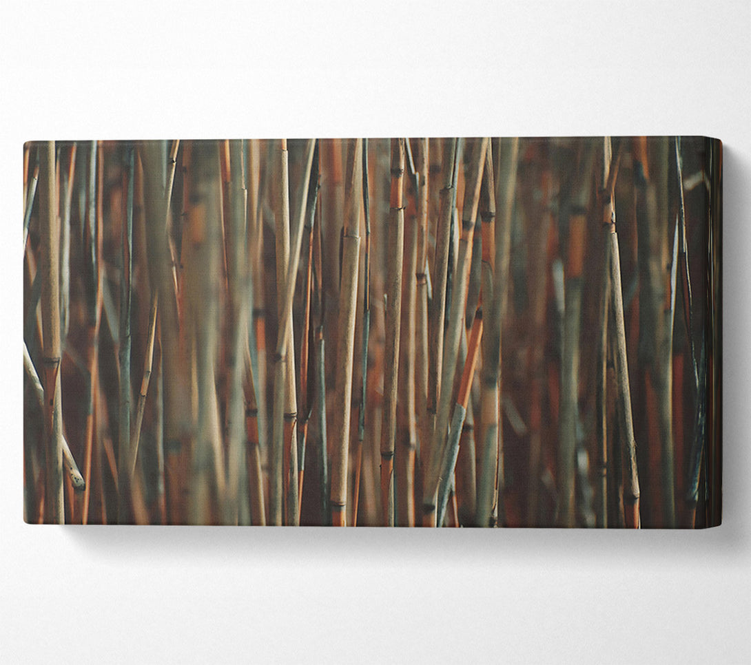  A Canvas Print of Golden Bamboo Forest Canvas Print