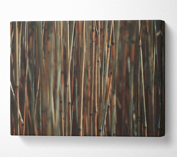 Golden Bamboo Forest Canvas Print