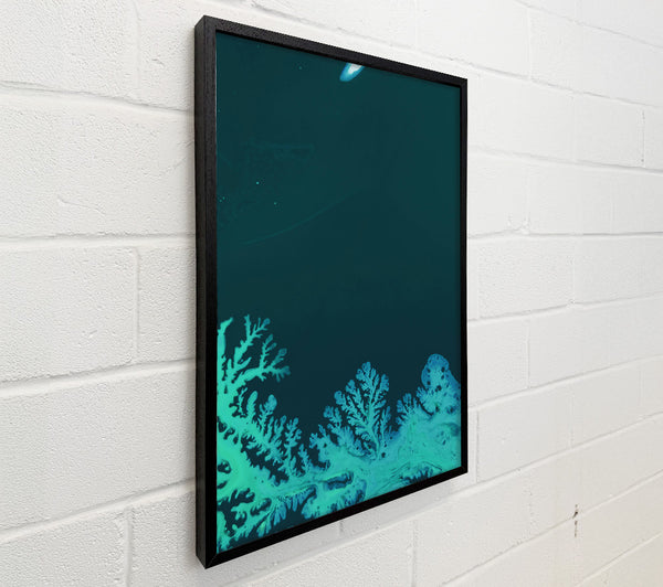 Teal Fractal Bloom