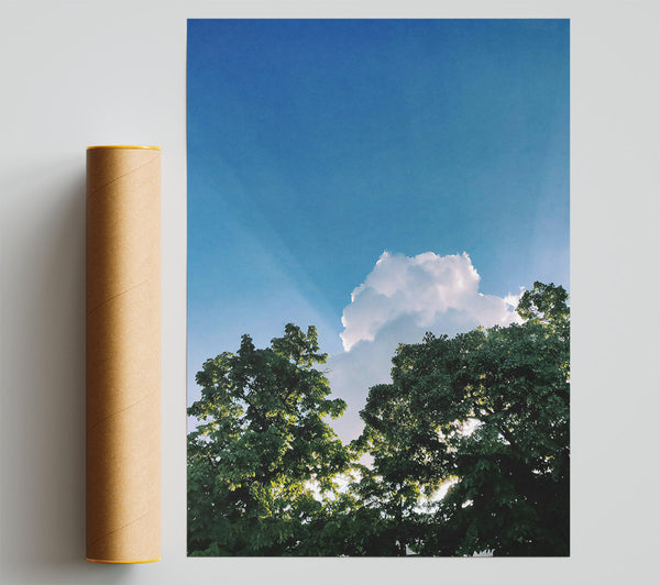 Blue Skies And Green Trees Giclee Print