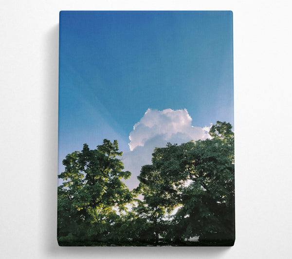  A Canvas Print of Blue Skies And Green Trees Canvas Wall Art