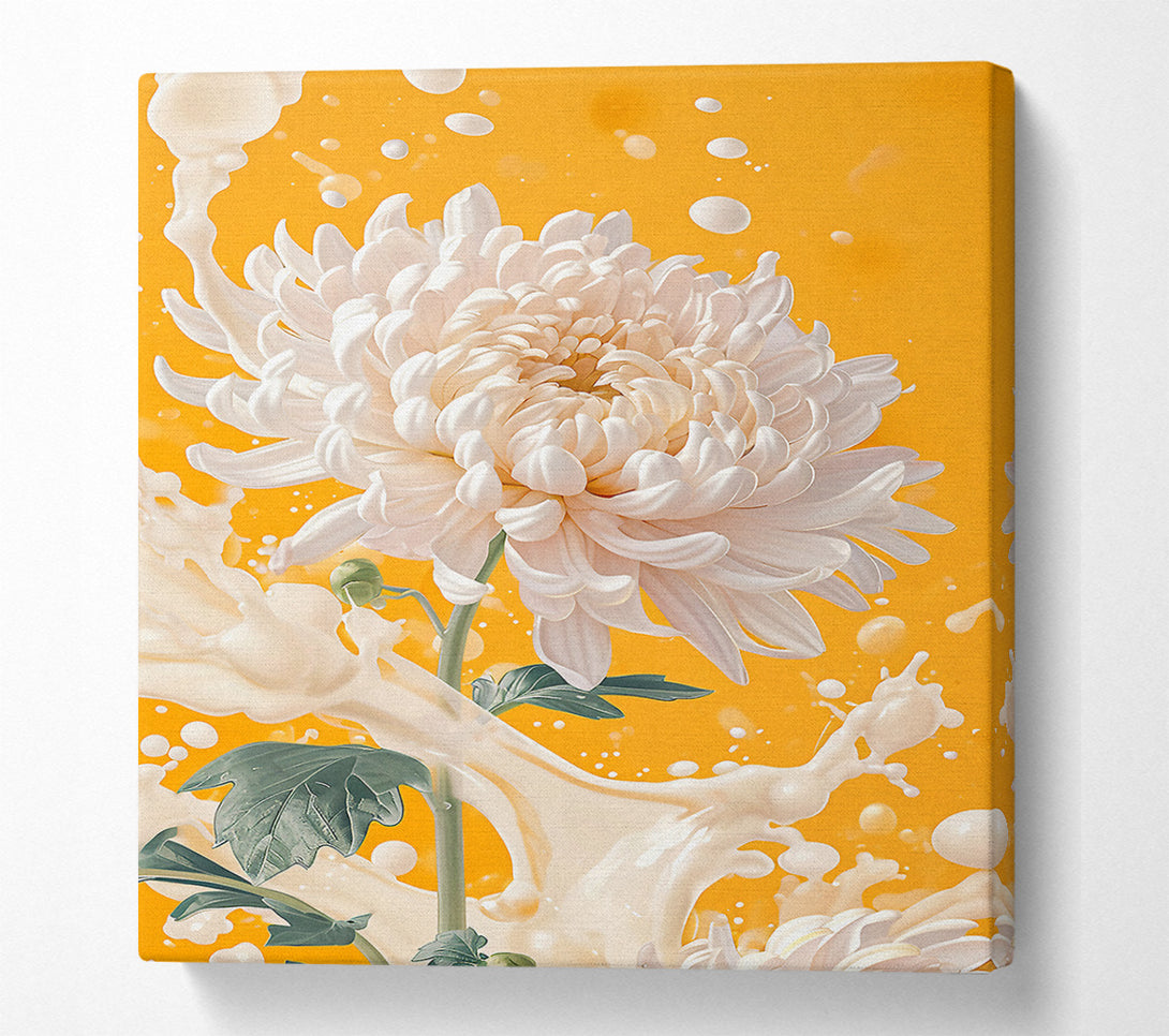  A Canvas Print of Milk Flower Canvas Art