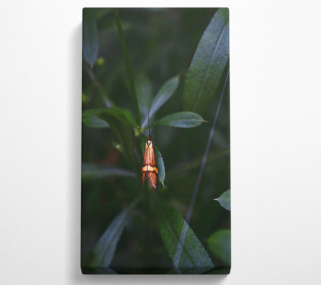  A Canvas Print of Orange Moth In Green Canvas Wall Art