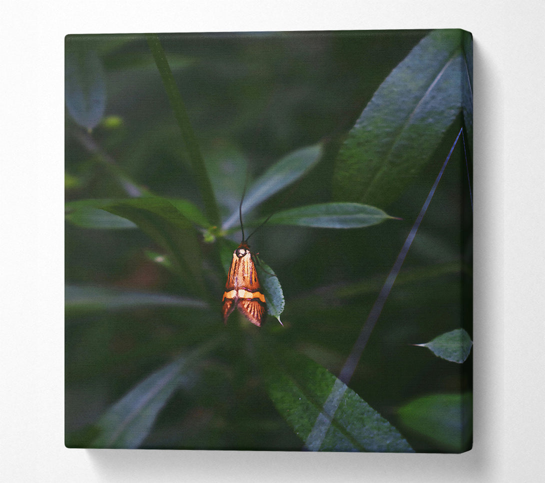  A Canvas Print of Orange Moth In Green Canvas Wall Art